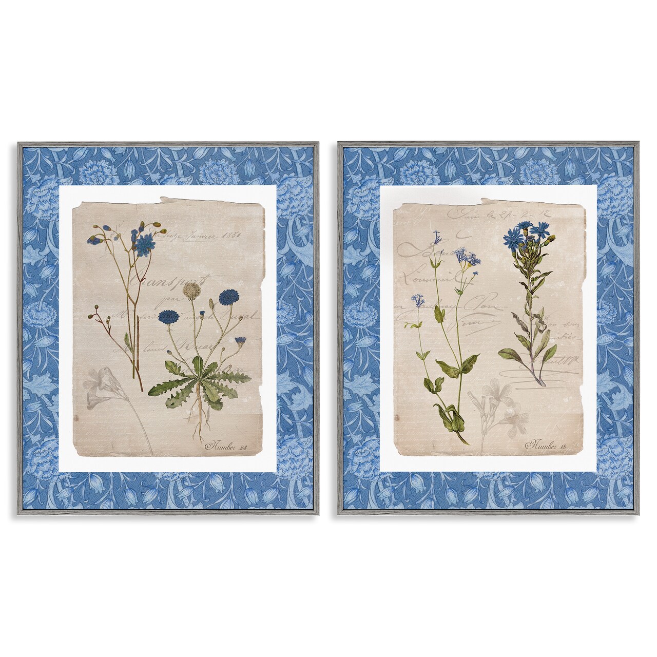 Stupell Industries Blue Botanical Herbs 2pc Framed Giclee Set, design by Livi Finn